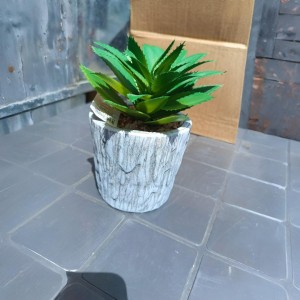 قوار بورسلان جبس سكني سائل ورد مشكل